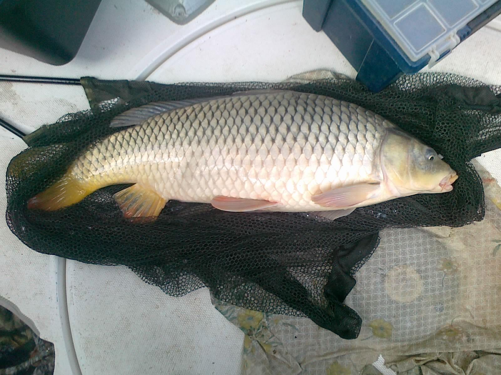 Sulina sept. 2013 - part. II - 190920131864.jpg